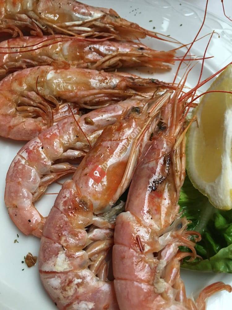 El Monasterio de Talavera