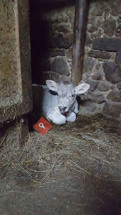 El Otero De Valdetuéjar, Castilla y León, Spain