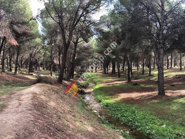 El Pinar de Navalcarnero