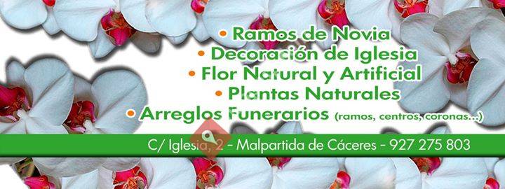 El Puente Arte Floral