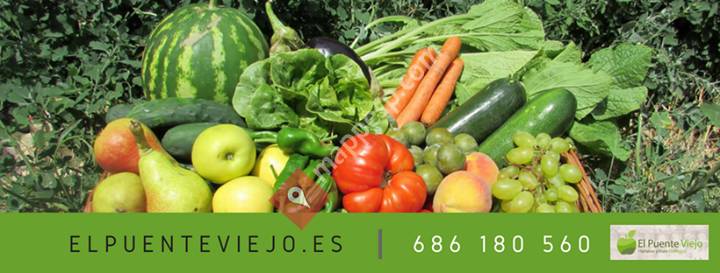 El Puente Viejo Hortaliza y Fruta Ecológica