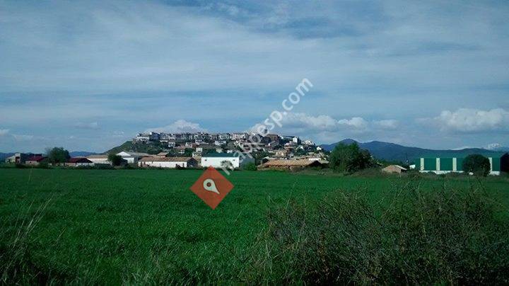 El rincon de Emilio