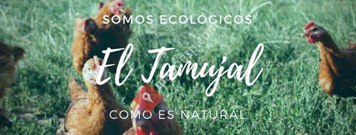 El Tamujal - Pollos Ecológicos