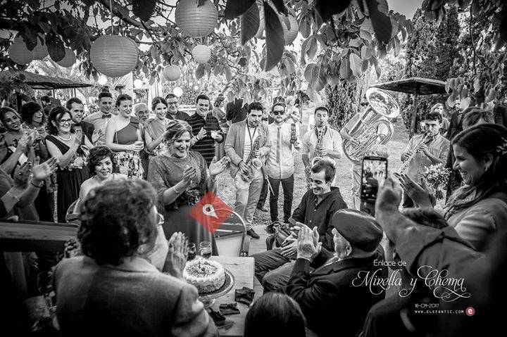 Elefantic Fotografía