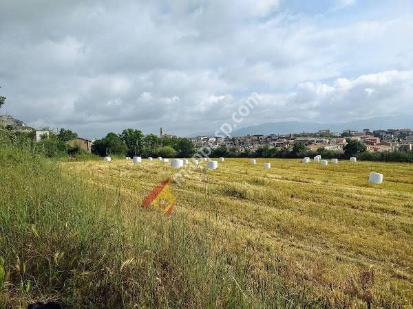Embutidos Monells