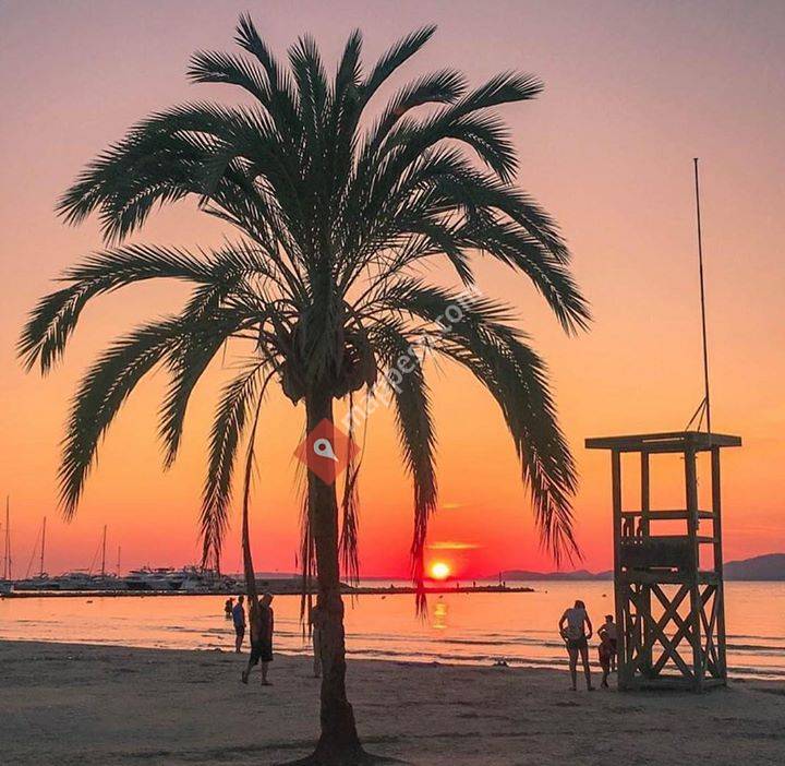 Enjoy-Mallorca