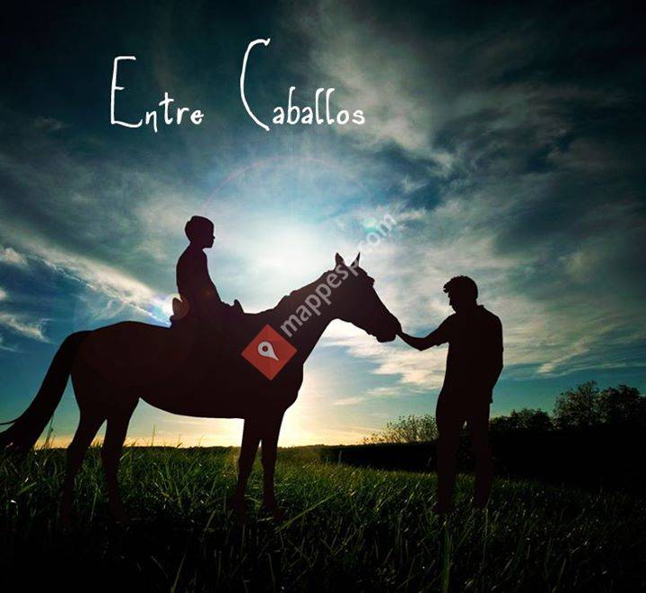 Entre Caballos,Hipoterapia,Centro Ecuestre