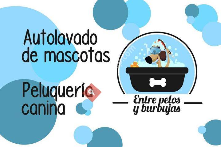 Entre pelos y burbujas