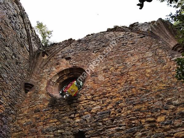 Ermita de Desiñana (Ruinas)