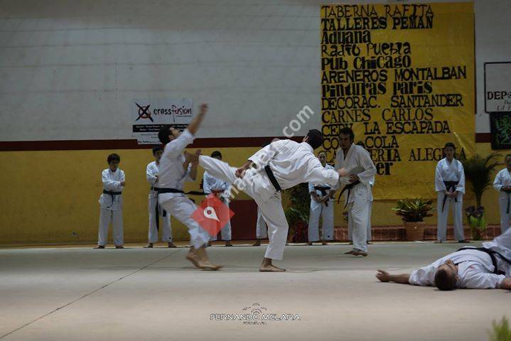 Escuela Asociación Amigos Artes Marciales Shotokan
