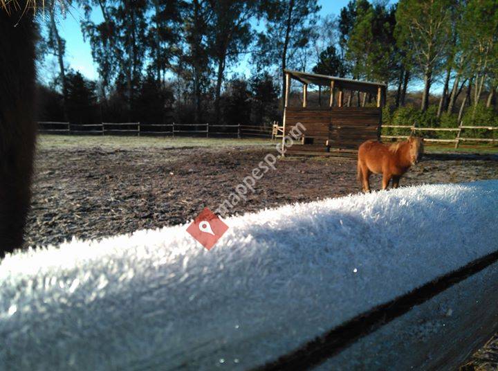 Escuela de caballos El PonyClub