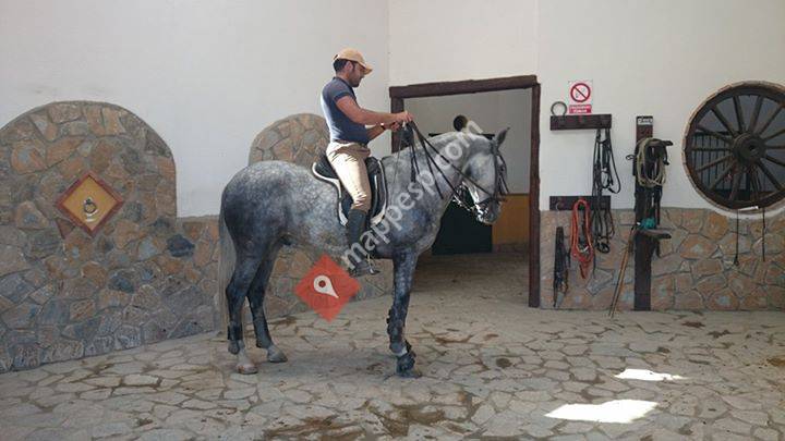 Escuela de equitación Miguel martinez
