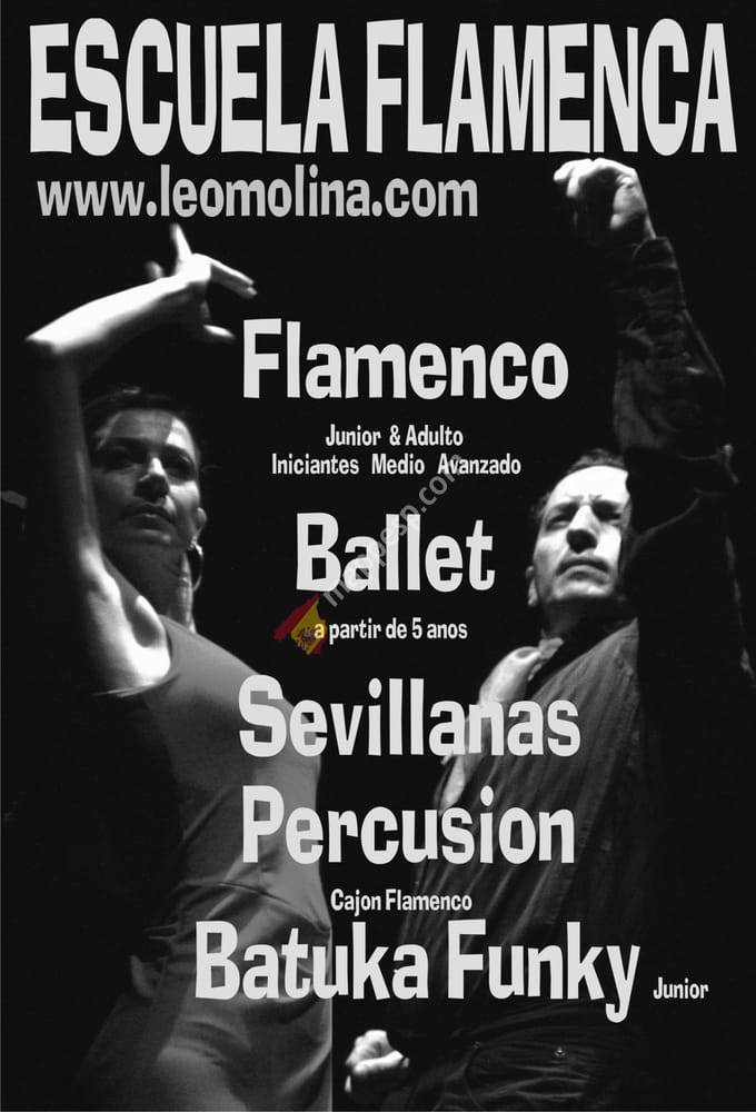 Escuela Flamenca Leo Molina