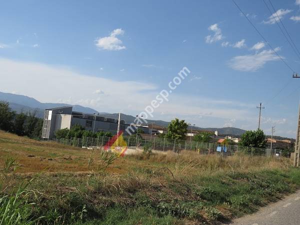 Escuela Publica y Instituto ELS PLANELLS