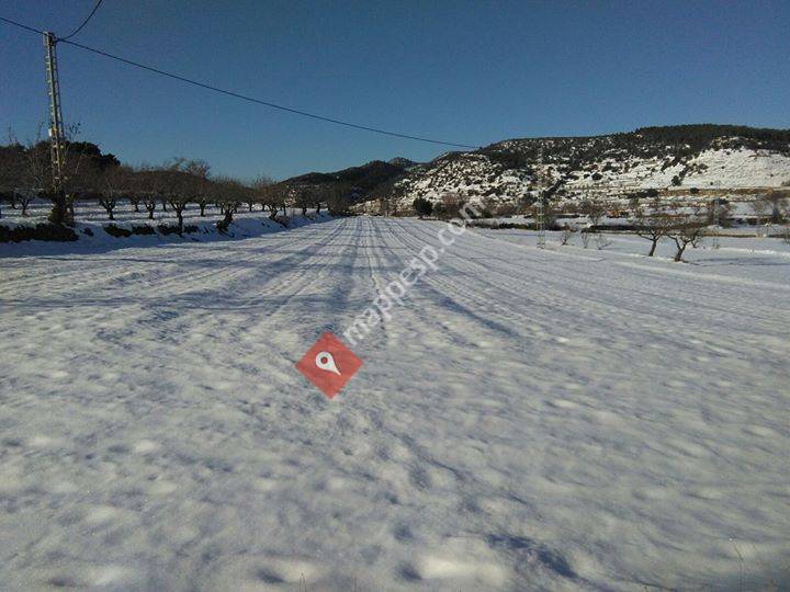 Esencias de Els Ports