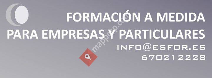 EsFor Consultores