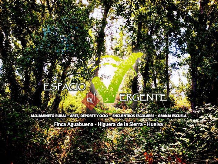 Espacio Divergente