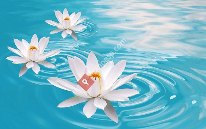 Estética Maríaanaya