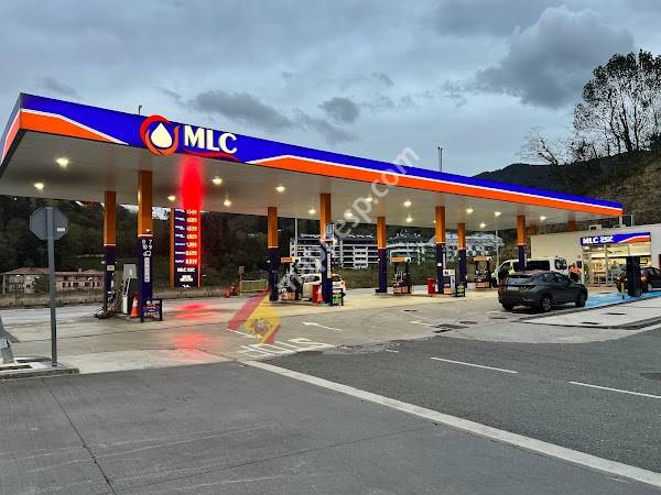 Estación de Servicio MLC Elgoibar