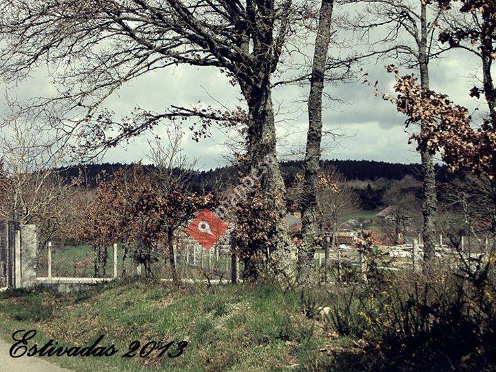 ESTIVADAS