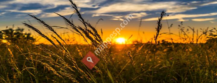 Estoesagricultura
