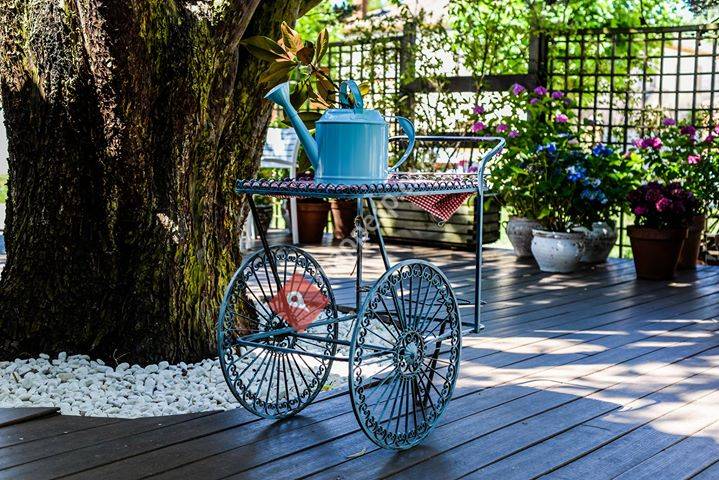 Estrella Del Bajo Carrion