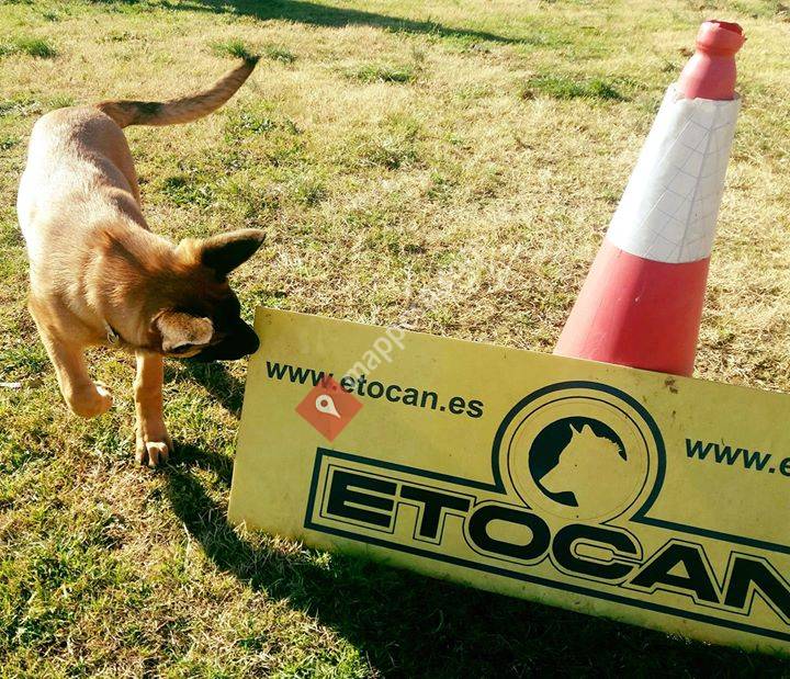 Etocan