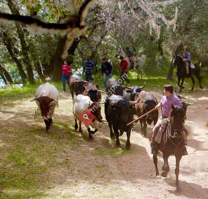 Eventos Trashumantes