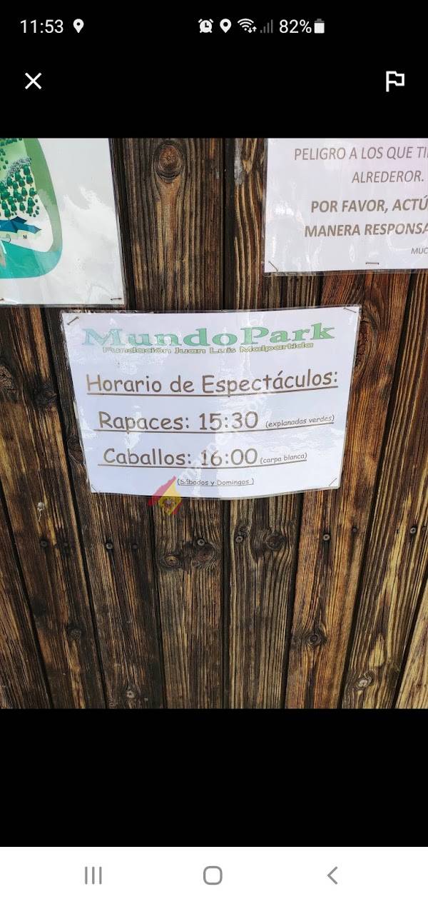 Exhibición Aves Rapaces