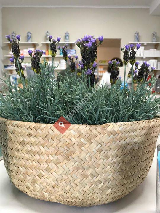 Farmacia Coripe