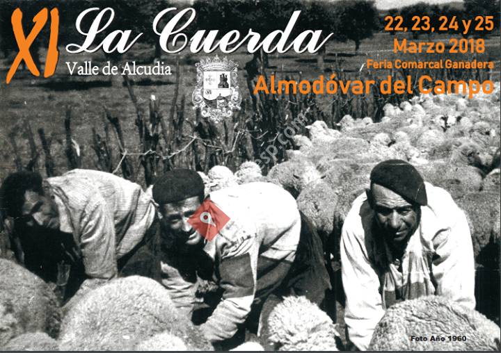 Feria 
