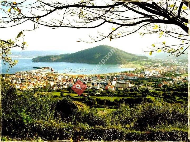 Festas de Cariño