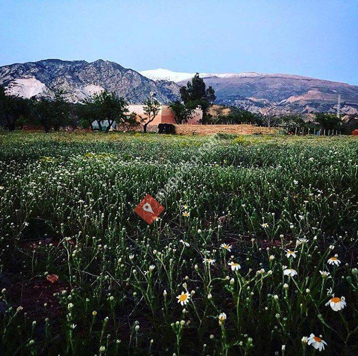 Finca Daana