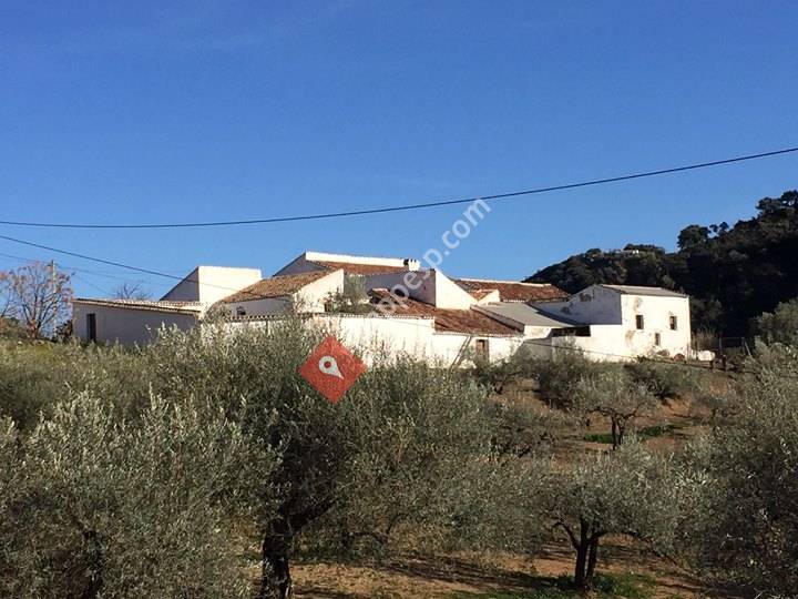 Finca Elements