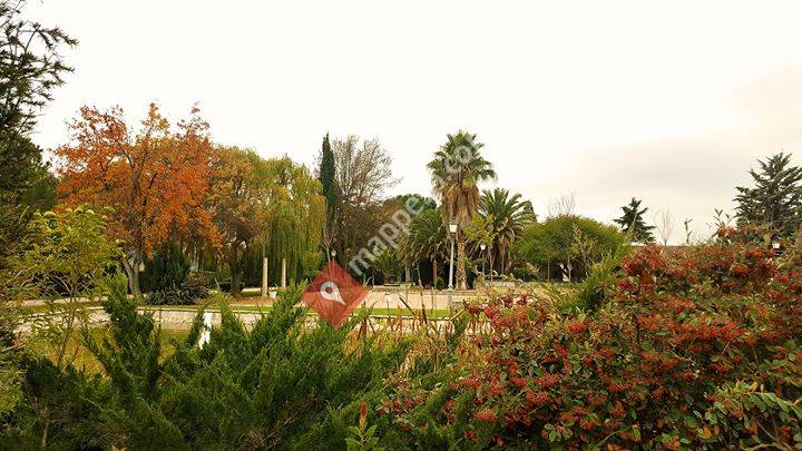 Finca La Alcudia