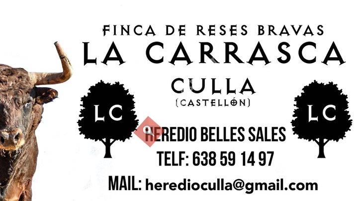 Finca 