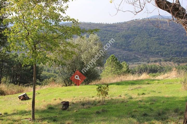 Finca La Sierra Berzocana