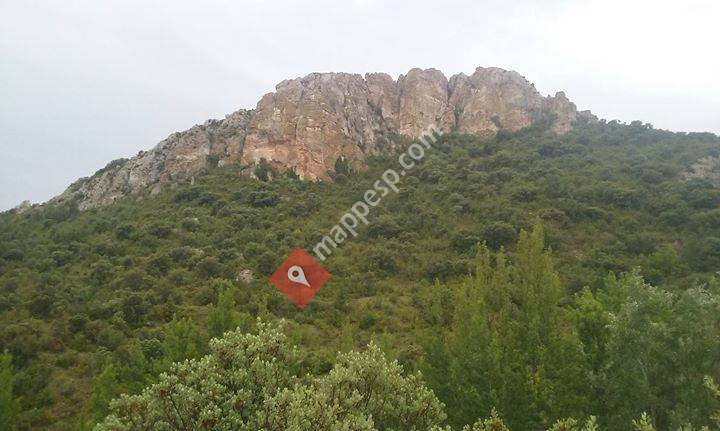 Finca Peña El Cid 