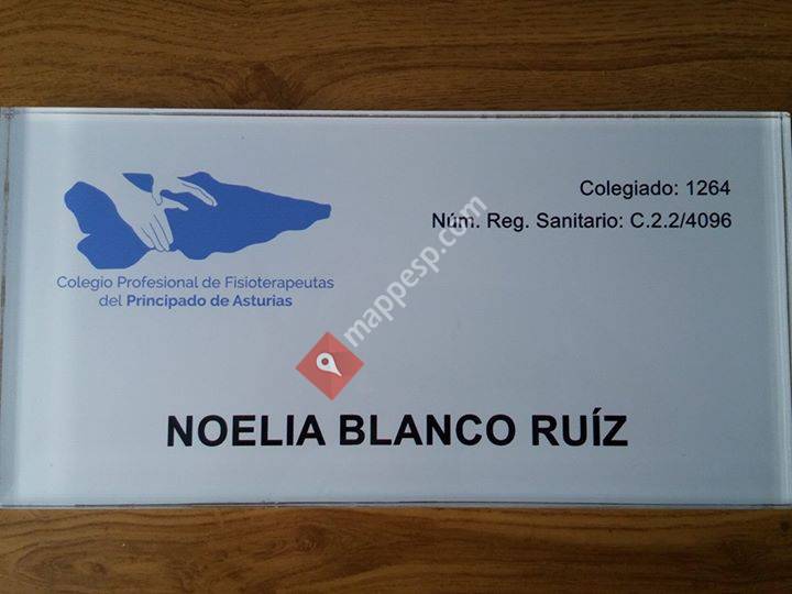 Fisioterapia Somiedo
