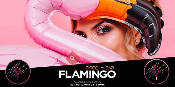 Flamingo disco-bar