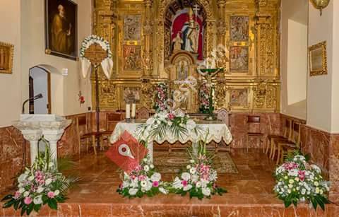 Flores conchy