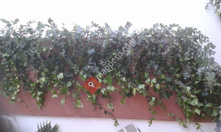 Flores Herruzo S.L.