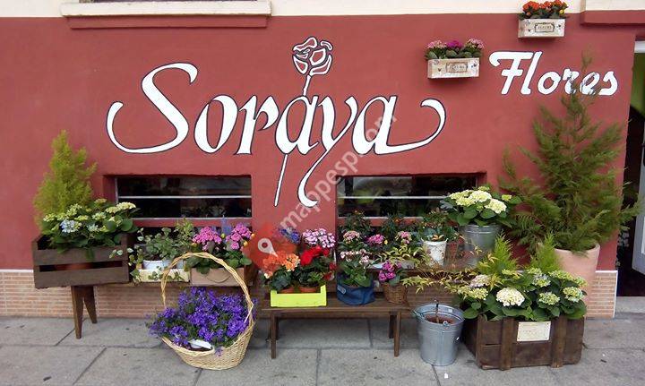 Flores Soraya