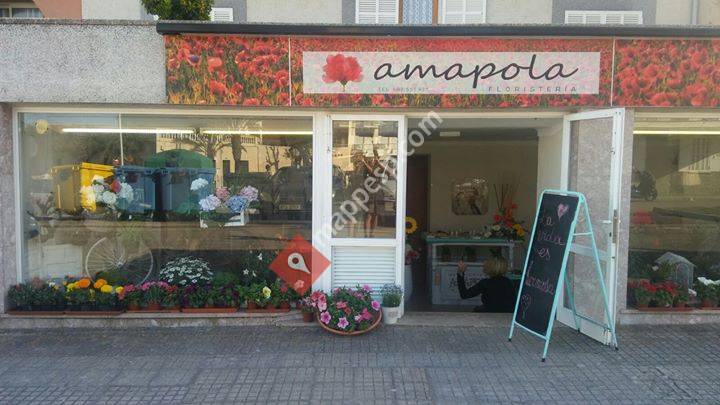 Floristería Amapola