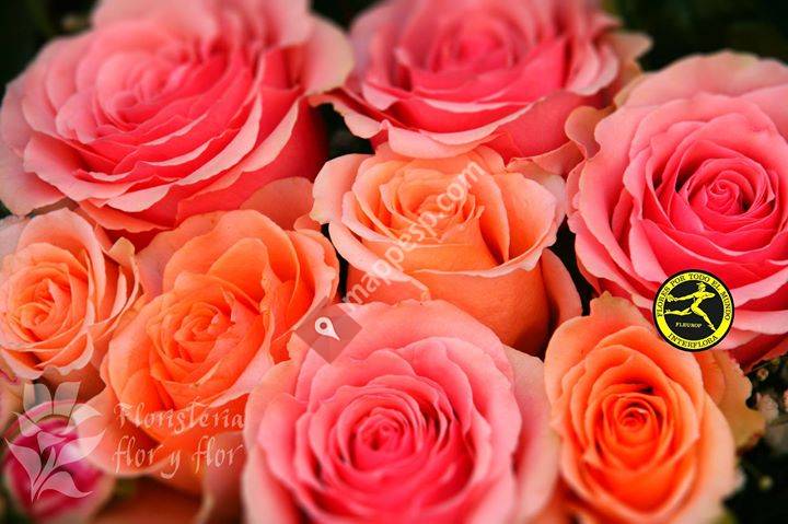 Floristería Flor y Flor, por Elena Vela