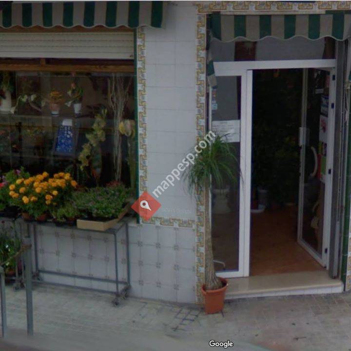 Floristeria El Perello