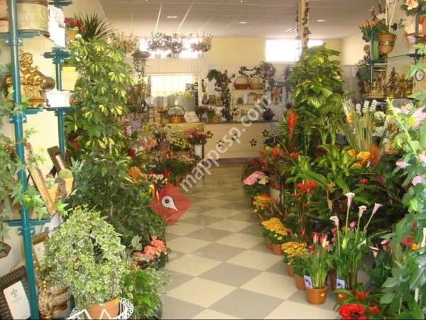 FLORISTERIA JULI
