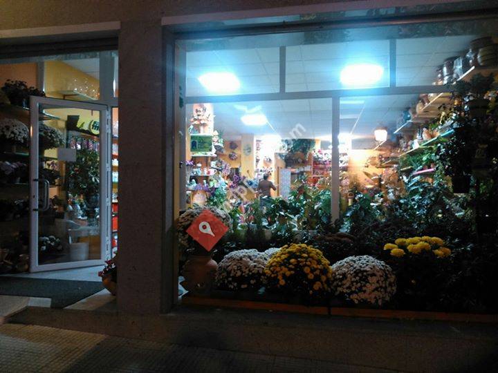 Floristeria Nievitas