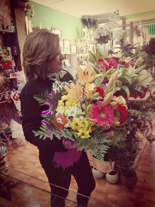 Floristeria Y Regalos ROCIO