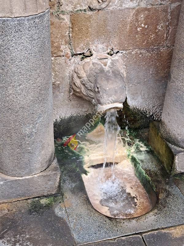 Font del lleo